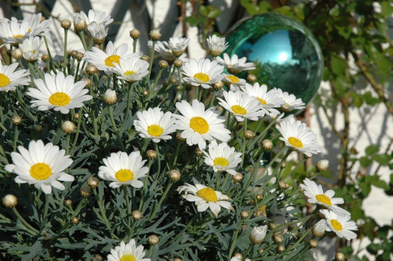 Ferienhaus Nest Blaichach Εξωτερικό φωτογραφία