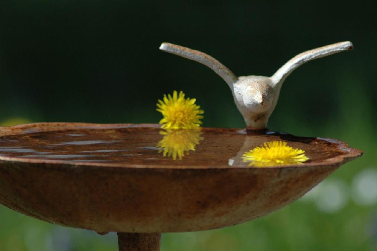 Ferienhaus Nest Blaichach Εξωτερικό φωτογραφία